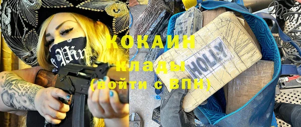 крисы Богданович