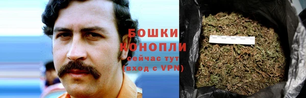 крисы Богданович