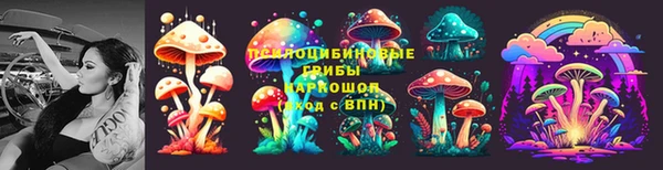 СК Богородицк