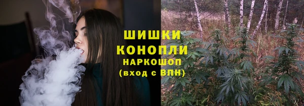 СК Богородицк