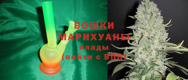 стафф Богородск
